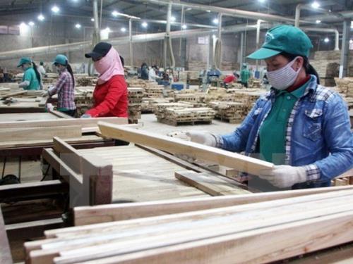 Nhiều cơ hội cho ngành gỗ Việt Nam từ nhu cầu thị trường thế giới​