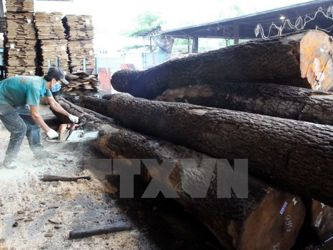 Các hiệp hội Việt Nam chính thức nói "không" với gỗ bất hợp pháp